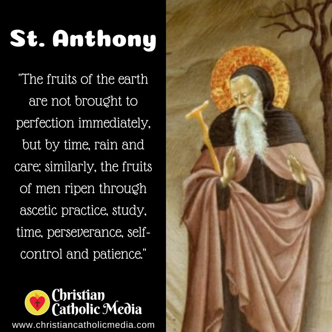 St. Anthony - Sunday January 17, 2021