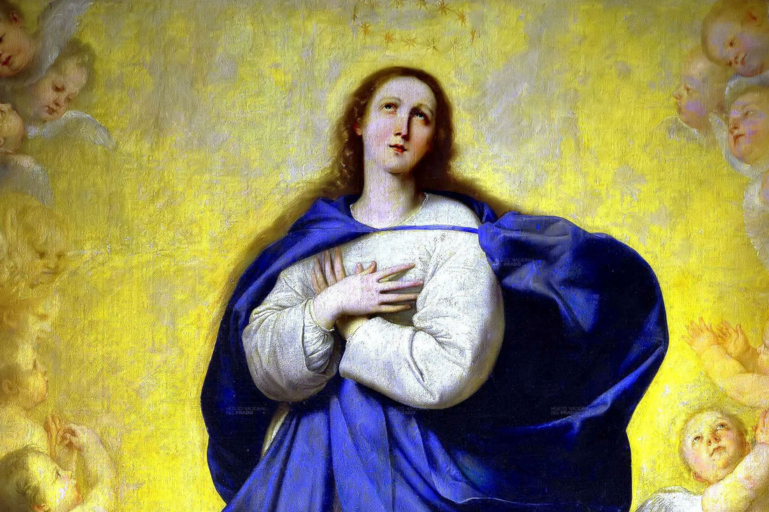 Why Do Catholics Worship Mary?