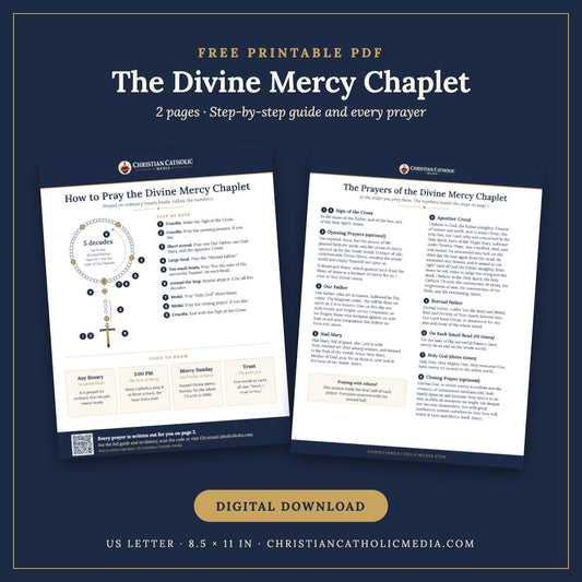 Divine Mercy Chaplet free printable PDF guide: 2 pages, a labeled rosary diagram with numbered steps, plus every prayer written out